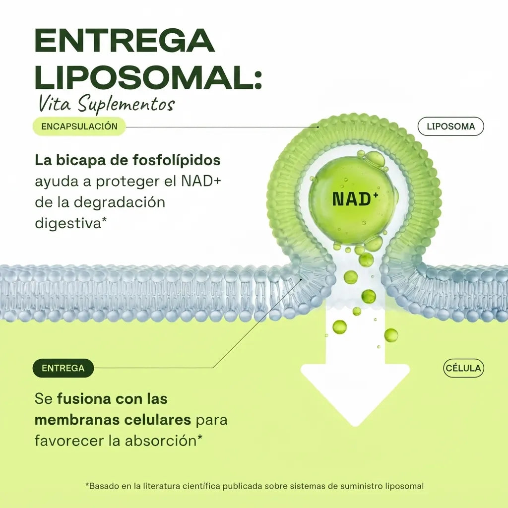 Vita Suplementos NAD+ Advanced — Energía Celular Liposomal 500mg