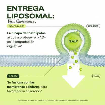 Vita Suplementos NAD+ Advanced — Energía Celular Liposomal 500mg